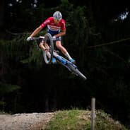 Milan Van der Veken
