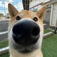 Maxence Monin