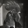 Pablo Makaron