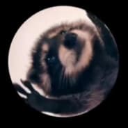 V J