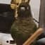 Uros Koscica