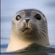 Alexander the Seal