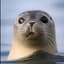 Alexander the Seal