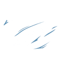 Cygnus Racing Team