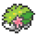 shaymin racing Shaymin Racing