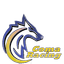 Coma Racing