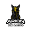 Arion Sim Racing Academy