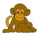 Puzzled Monkey