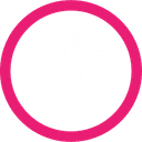 VHeart Motorsport MIracle