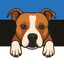 Dogwater Team