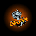 SKFR Endurance GT3 GOLD 1