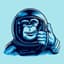 Hyper Monkey Racing