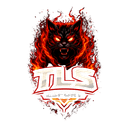 TLS Racing