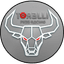 Torelli Racing TFR Torelli Free Racing TFR 
