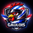 Les Gaulois Racing
