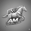 AM Esport Team daily