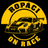 Ropaci on race GT3