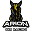 ARION SIM RACING 3
