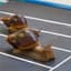 Snail Slow Racing