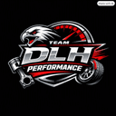 DLH Performance
