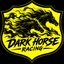 DarkHorseRacing Team1